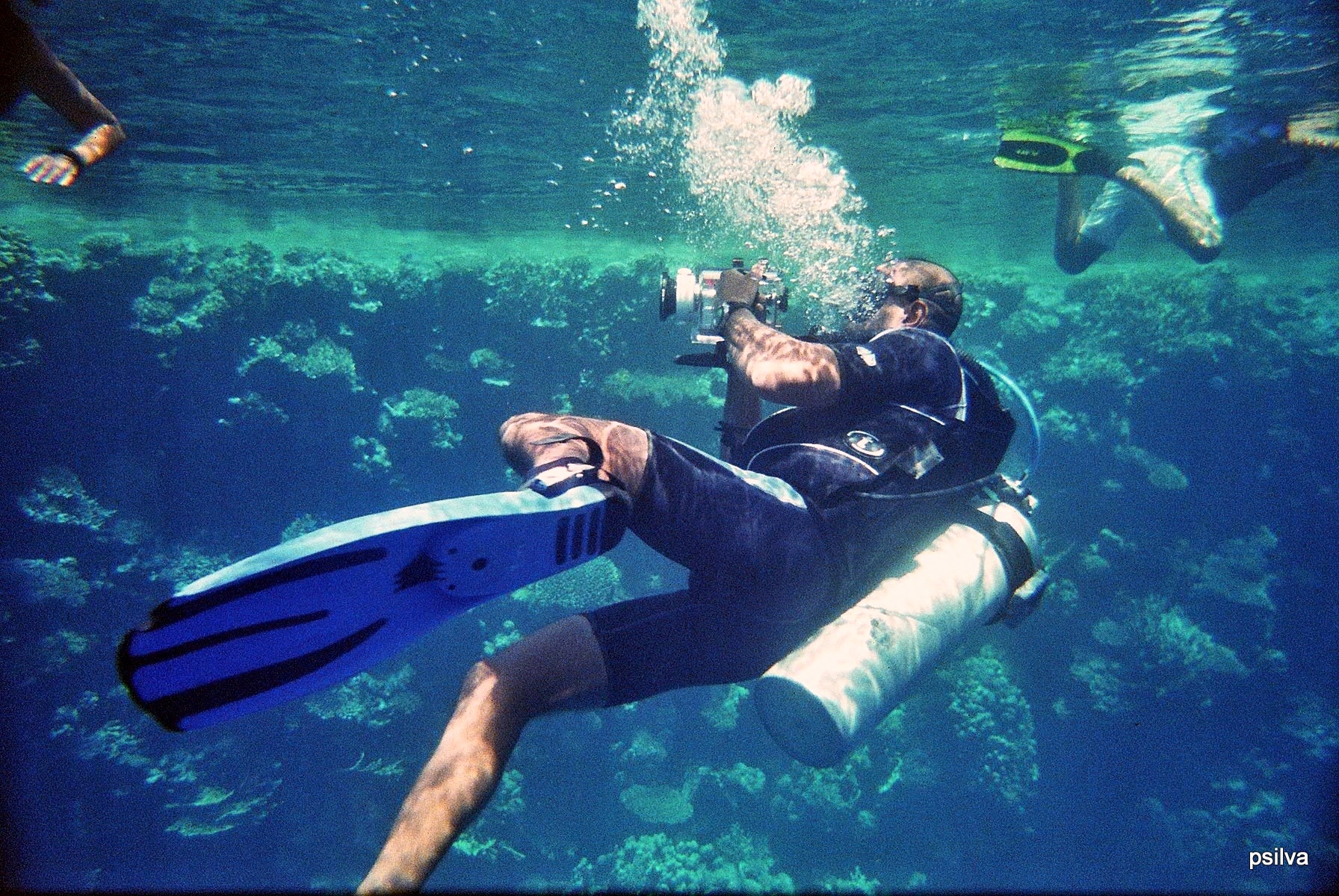 Sharm el Sheikh, paisajes submarinos en el Mar Rojo