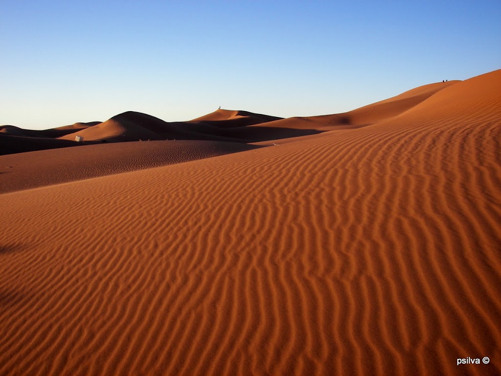 El desierto del Sáhara