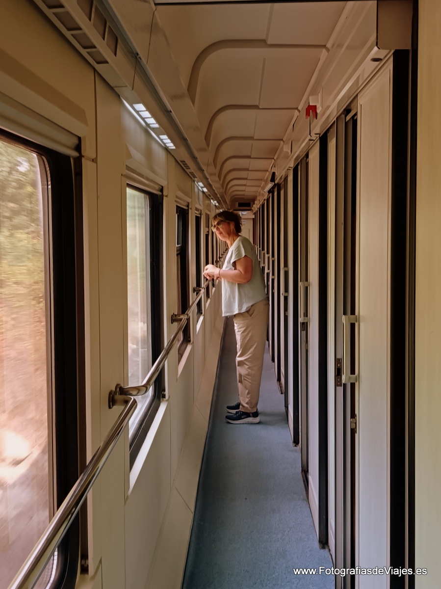Pasillo del tren