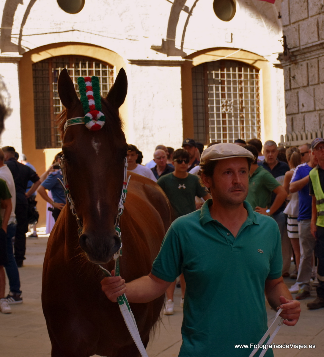 Jinete y caballo en la Fiesta del Palio en Siena 