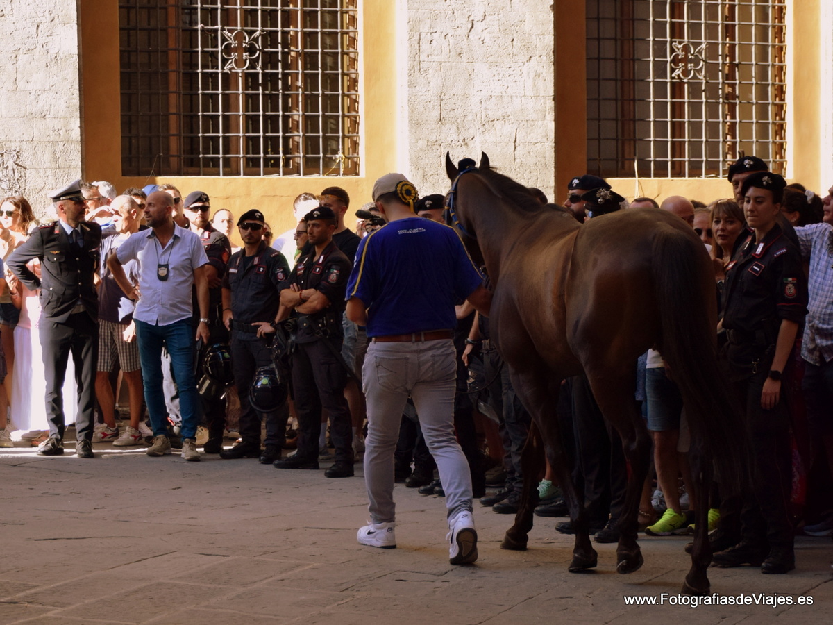 Jinete y caballo en la Fiesta del Palio en Siena 