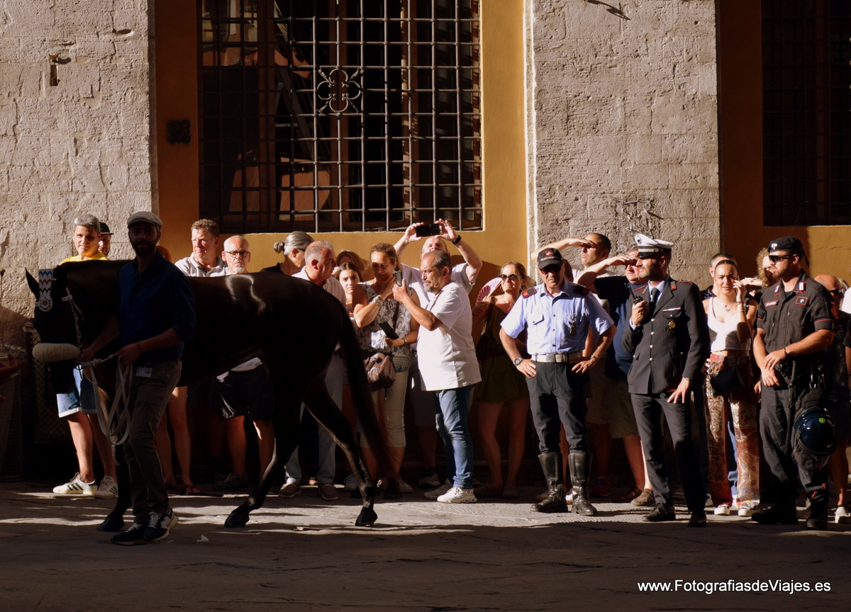 Jinete y caballo en la Fiesta del Palio en Siena 