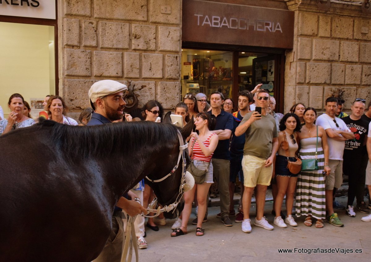 Jinete y caballo en la Fiesta del Palio en Siena 