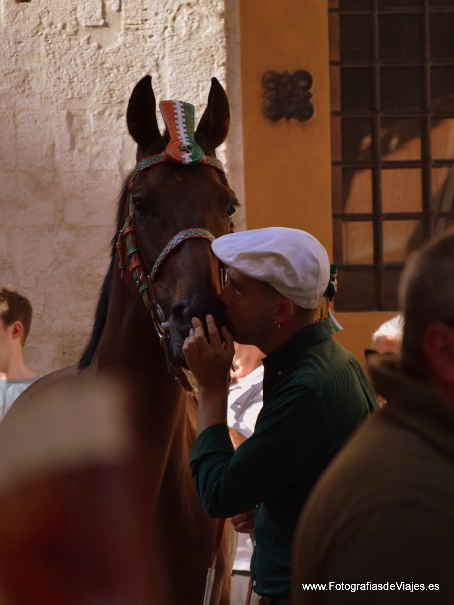 Jinete y caballo en la Fiesta del Palio en Siena 