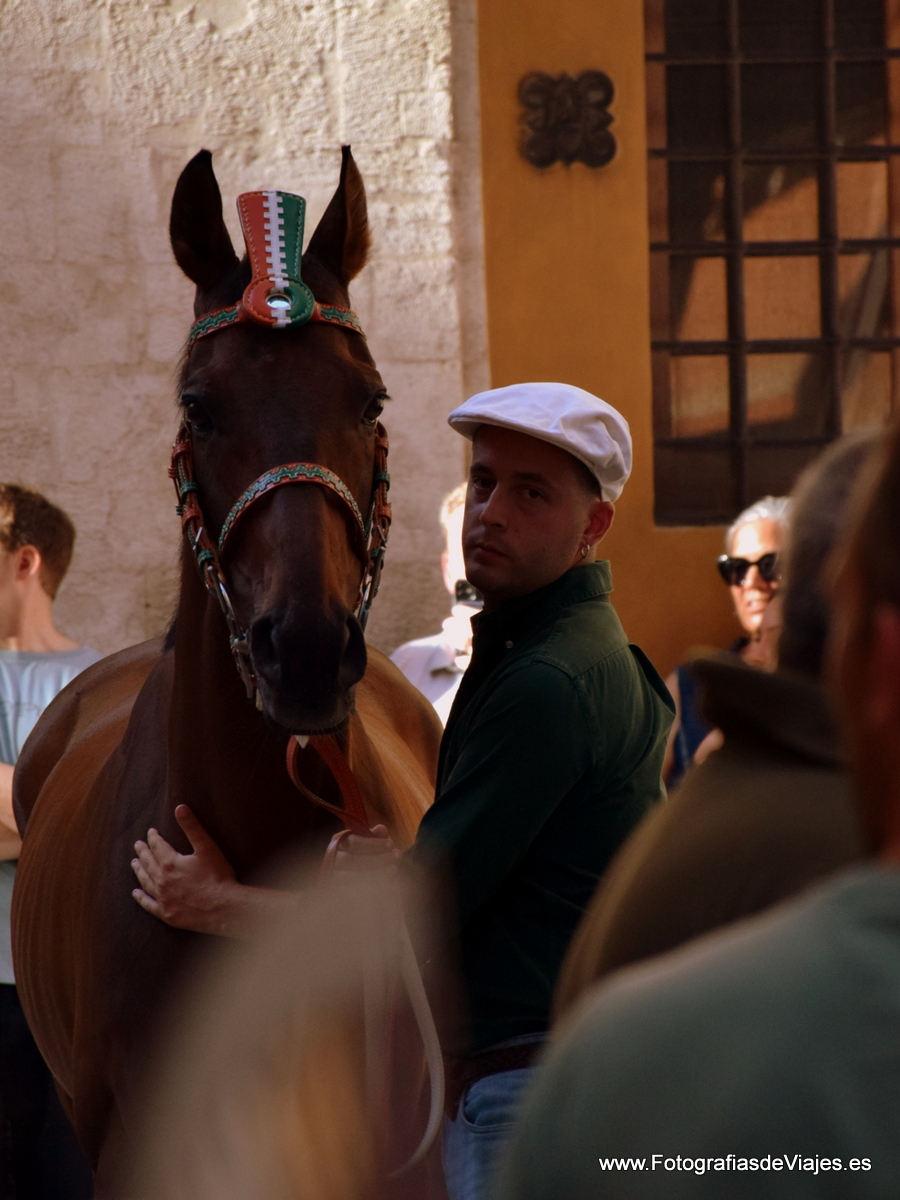 Jinete y caballo en la Fiesta del Palio en Siena 