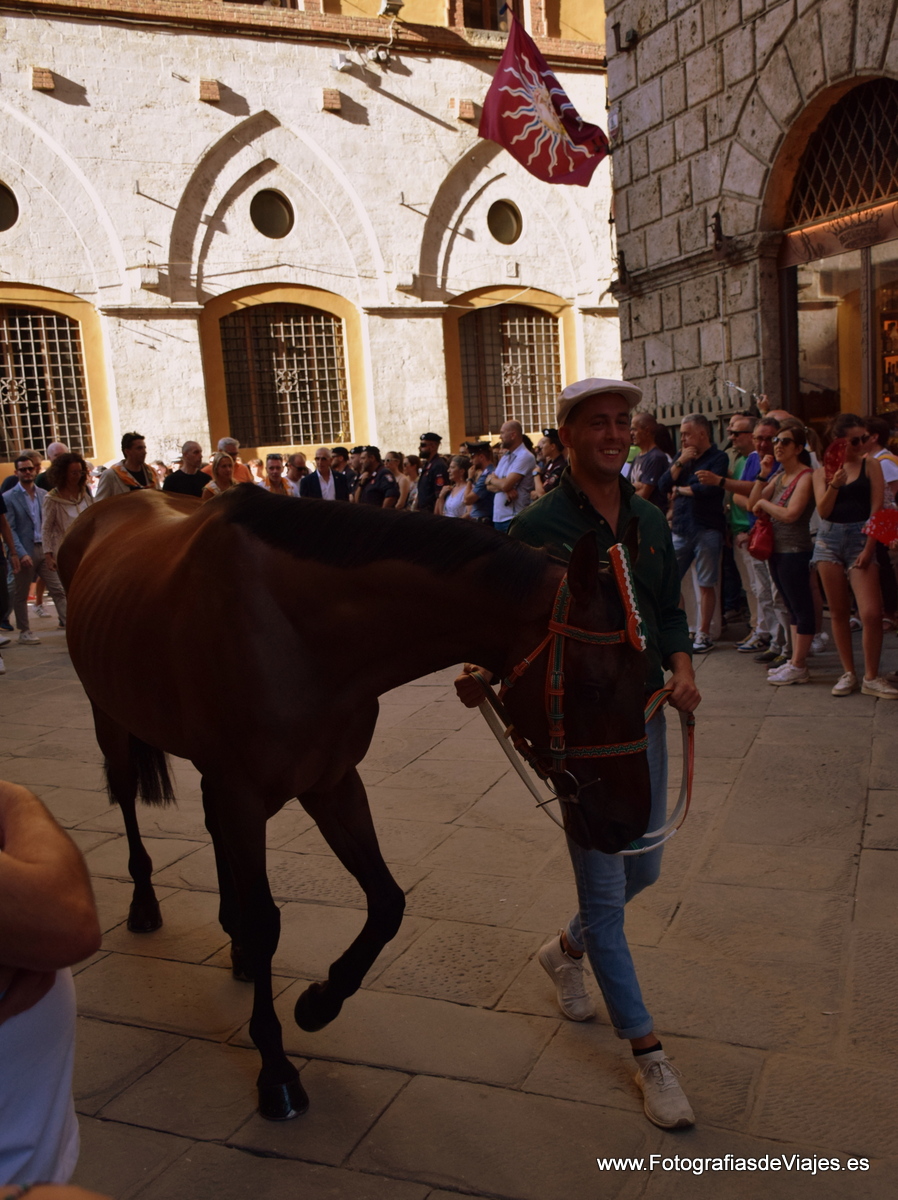 Jinete y caballo en la Fiesta del Palio en Siena 