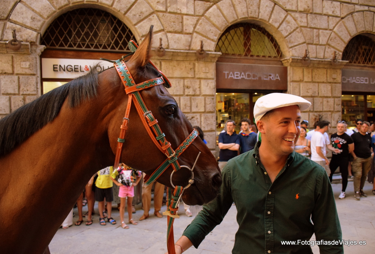 Jinete y caballo en la Fiesta del Palio en Siena 