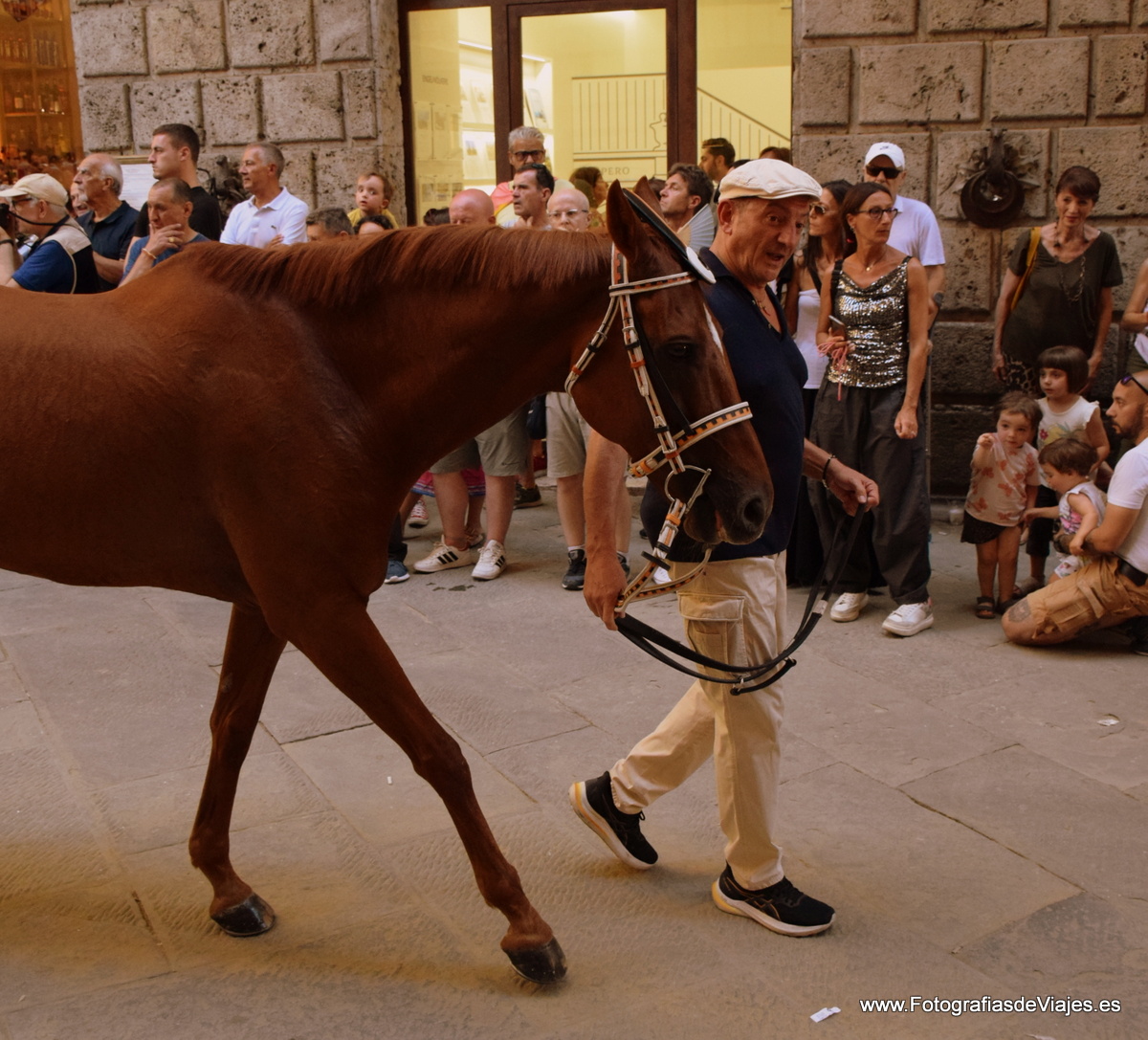 Jinete y caballo en la Fiesta del Palio en Siena 