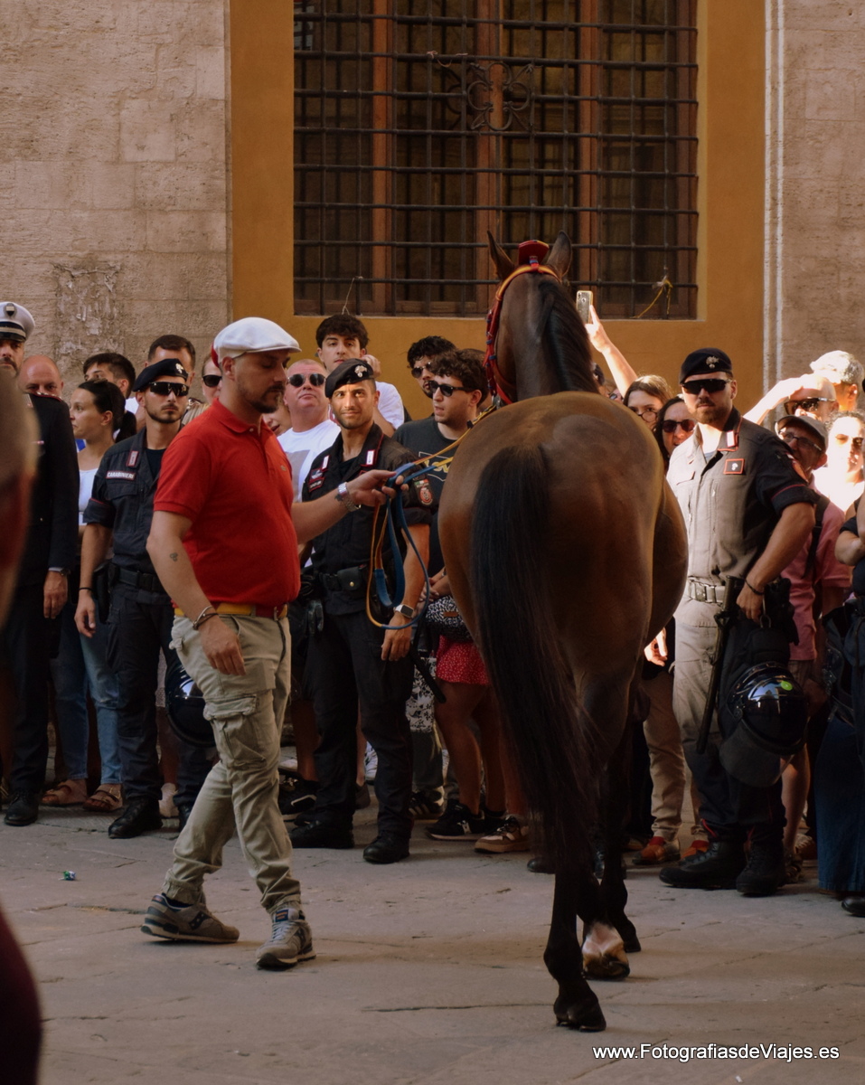 Jinete y caballo en la Fiesta del Palio en Siena 