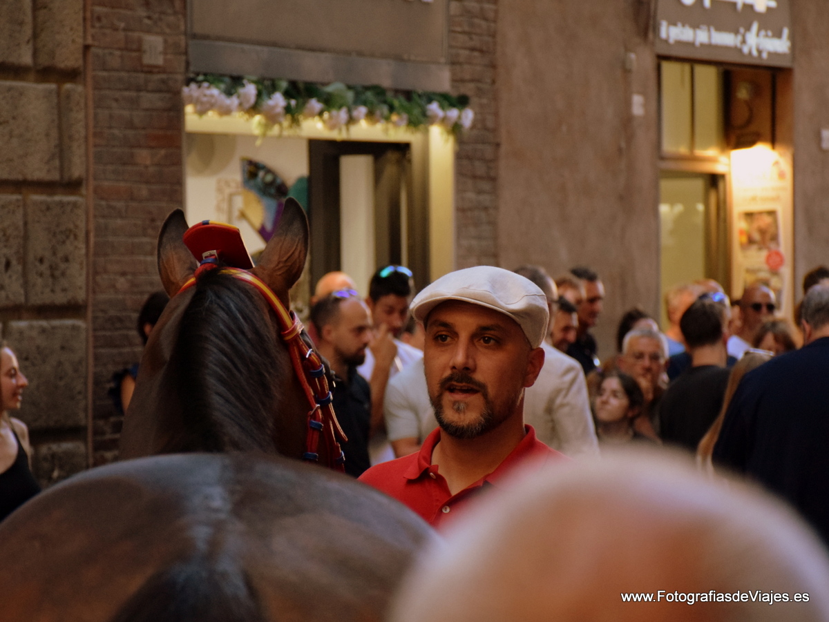 Jinete y caballo en la Fiesta del Palio en Siena 